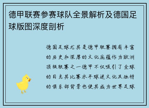 德甲联赛参赛球队全景解析及德国足球版图深度剖析